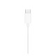 Hands Free Stereo Apple Earpods MTJY3 USB C με Χειριστήριο & Μικρόφωνο (Ασυσκεύαστο) Hands Free Stereo Apple Earpods MTJY3 USB C με Χειριστήριο & Μικρόφωνο (Ασυσκεύαστο)