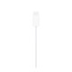Ασύρματη Βάση Ταχείας Φόρτισης Apple Watch Series USB C MT0H3 1m Λευκό