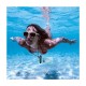 Waterproof Θήκη Baseus Slide-Cover για Smartphones μέχρι 7.2'' Μπλε Waterproof Θήκη Baseus Slide-Cover για Smartphones μέχρι 7.2'' Μπλε