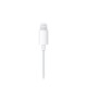 Hands Free Stereo Apple Earpods MWTY3 Lightning με Χειριστήριο & Μικρόφωνο Λευκό Hands Free Stereo Apple Earpods MWTY3 Lightning με Χειριστήριο & Μικρόφωνο Λευκό