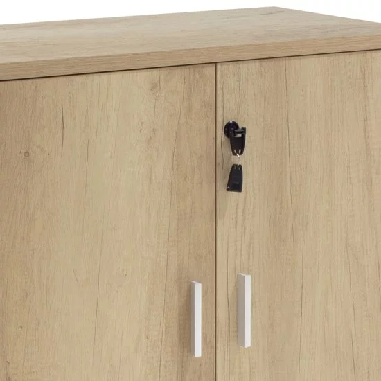 Ντουλάπι γραφείου χαμηλό επαγγελματικό Lotus  χρώμα φυσικό ανθρακί 80x40x80εκ