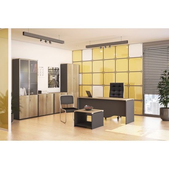 Ντουλάπα γραφείου με γυάλινες πόρτες Lotus pakoworld χρώμα φυσικό - ανθρακί 80x40x200εκ Model: 069-000022