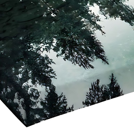 Πίνακας σε καμβά Siely με ψηφιακή εκτύπωση 40x3x60εκ Πίνακας σε καμβά Siely με ψηφιακή εκτύπωση 40x3x60εκ