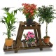 Ραφιέρα-σταντ φυτών Tisa pakoworld ξύλο καφέ 75x25x49εκ Model: 120-000158