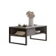 Τραπέζι σαλονιού Honora ανθρακί antique-μαύρο 100x60x44.5εκ Τραπέζι σαλονιού Honora ανθρακί antique-μαύρο 100x60x44.5εκ