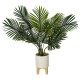 Φυτό σε γλάστρα Green4 83x75x65εκ Φυτό σε γλάστρα Green4 83x75x65εκ
