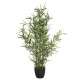 Φυτό σε γλάστρα Green10 63x55x90εκ Φυτό σε γλάστρα Green10 63x55x90εκ