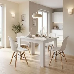Τραπεζαρία Manka-Julita  σετ 5τεμ σε λευκή απόχρωση 110x80x77εκ