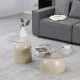 Τραπέζια σαλονιού Barel  σετ 2τεμ μέταλλο cappuccino- clear glass