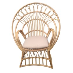 Πολυθρόνα Boloni Inart με μπεζ μαξιλάρι-φυσικό rattan 100x67x120εκ Model: 314-000006