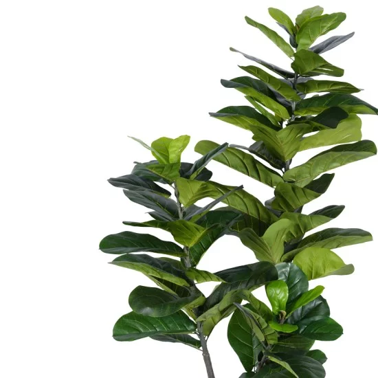 Διακοσμητικό φυτό Fiddlehead I σε γλάστρα Inart πράσινο pp Υ180εκ Διακοσμητικό φυτό Fiddlehead I σε γλάστρα Inart πράσινο pp Υ180εκ