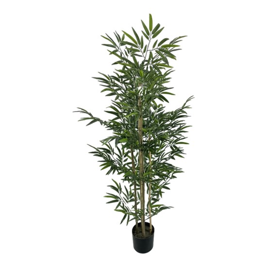 Διακοσμητικό φυτό Bamboo σε γλάστρα Inart πράσινο pp Υ150εκ Διακοσμητικό φυτό Bamboo σε γλάστρα Inart πράσινο pp Υ150εκ