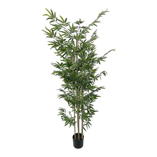 Διακοσμητικό φυτό Bamboo σε γλάστρα Inart πράσινο pp Υ190εκ Διακοσμητικό φυτό Bamboo σε γλάστρα Inart πράσινο pp Υ190εκ