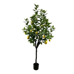 Διακοσμητικό φυτό Lemon tree σε γλάστρα Inart πράσινο pp Υ180εκ Διακοσμητικό φυτό Lemon tree σε γλάστρα Inart πράσινο pp Υ180εκ