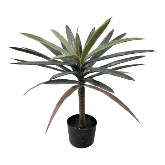 Διακοσμητικό φυτό Dracaena palm σε γλάστρα Inart πράσινο pp Υ62εκ Διακοσμητικό φυτό Dracaena palm σε γλάστρα Inart πράσινο pp Υ62εκ