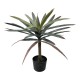 Διακοσμητικό φυτό Dracaena palm σε γλάστρα Inart πράσινο pp Υ62εκ Διακοσμητικό φυτό Dracaena palm σε γλάστρα Inart πράσινο pp Υ62εκ