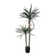 Διακοσμητικό φυτό Dracaena palm σε γλάστρα Inart πράσινο pp Υ125εκ Διακοσμητικό φυτό Dracaena palm σε γλάστρα Inart πράσινο pp Υ125εκ