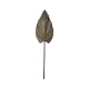 Διακοσμητικό φύλλο Leafen I Inart φυσικό palm leaf 130εκ Διακοσμητικό φύλλο Leafen I Inart φυσικό palm leaf 130εκ