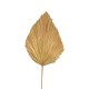 Διακοσμητικό φύλλο Walsy Inart palm leaf σε φυσική απόχρωση Υ135 εκ Διακοσμητικό φύλλο Walsy Inart palm leaf σε φυσική απόχρωση Υ135 εκ