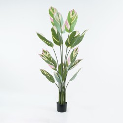 Διακοσμητικό φυτό σε γλάστρα Aglaonema Inart πράσινο Φ80x150εκ