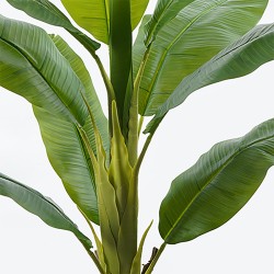 Διακοσμητικό φυτό σε γλάστρα Banono Inart πράσινο Φ95x160εκ
