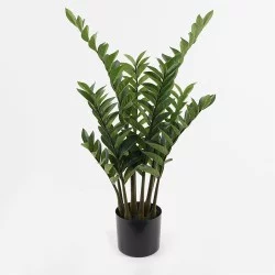 Διακοσμητικό φυτό σε γλάστρα Zamia Inart πράσινο Φ52x88εκ