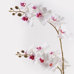 Διακοσμητικό φυτό σε γλάστρα Οrchid White Inart 36x17x65εκ