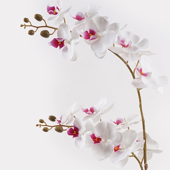 Διακοσμητικό φυτό σε γλάστρα Οrchid White Inart 36x17x65εκ