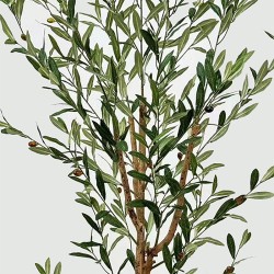 Διακοσμητικό φυτό σε γλάστρα Olia Inart πράσινο 65x55x180εκ