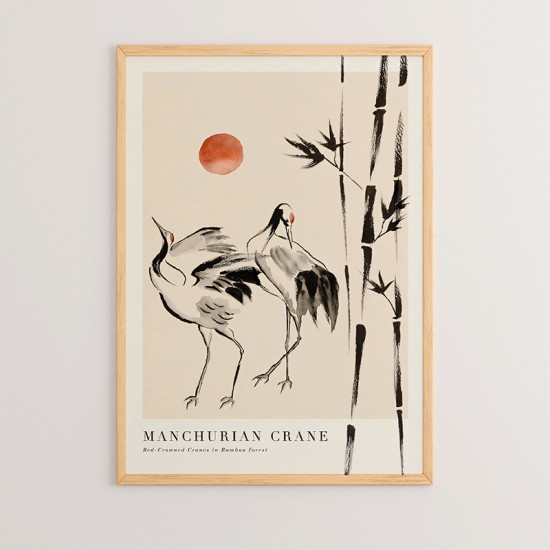 Πίνακας Birdo  με ψηφιακή εκτύπωση και πλαίσιο 33x1.5x48εκ