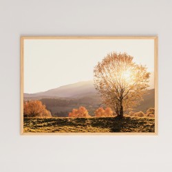 Πίνακας Vila  με ψηφιακή εκτύπωση και πλαίσιο 48x1.5x33εκ