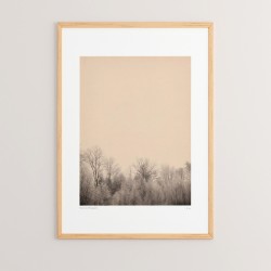 Πίνακας Quany  με ψηφιακή εκτύπωση και πλαίσιο 33x1.5x48εκ