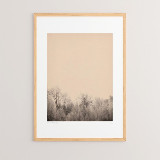 Πίνακας Quany  με ψηφιακή εκτύπωση και πλαίσιο 33x1.5x48εκ