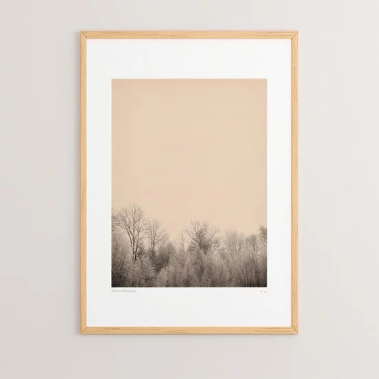 Πίνακας Quany  με ψηφιακή εκτύπωση και πλαίσιο 33x1.5x48εκ